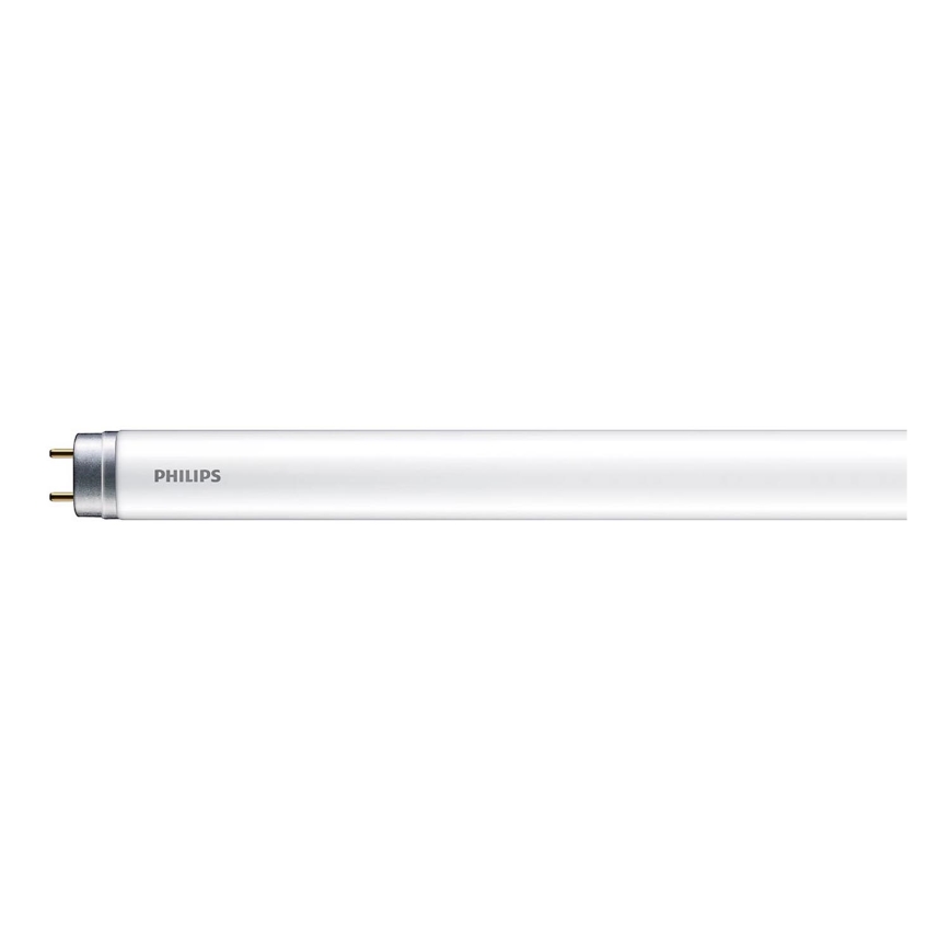 Tube fluorescent Philips LED T8 G13/8W/230V 6500K 60 cm