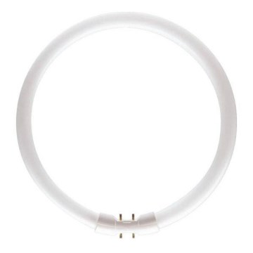 Tube fluorescent Philips MASTER 2GX13/60W/230V 4000K d. 37,9 cm