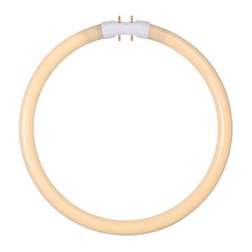 Tube fluorescent T5 2GX13/22W/230V - Lucide 50105/22/31 22,5 cm