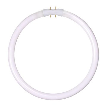 Tube fluorescent T5 2GX13/22W/230V - Lucide 50105/22/33 22,5 cm