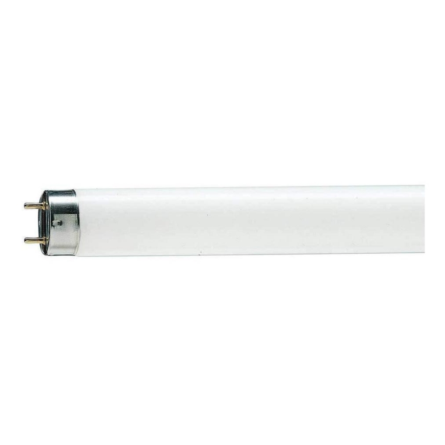 Tube fluorescent T8 G13/15W/55V 4000K 43,8 cm