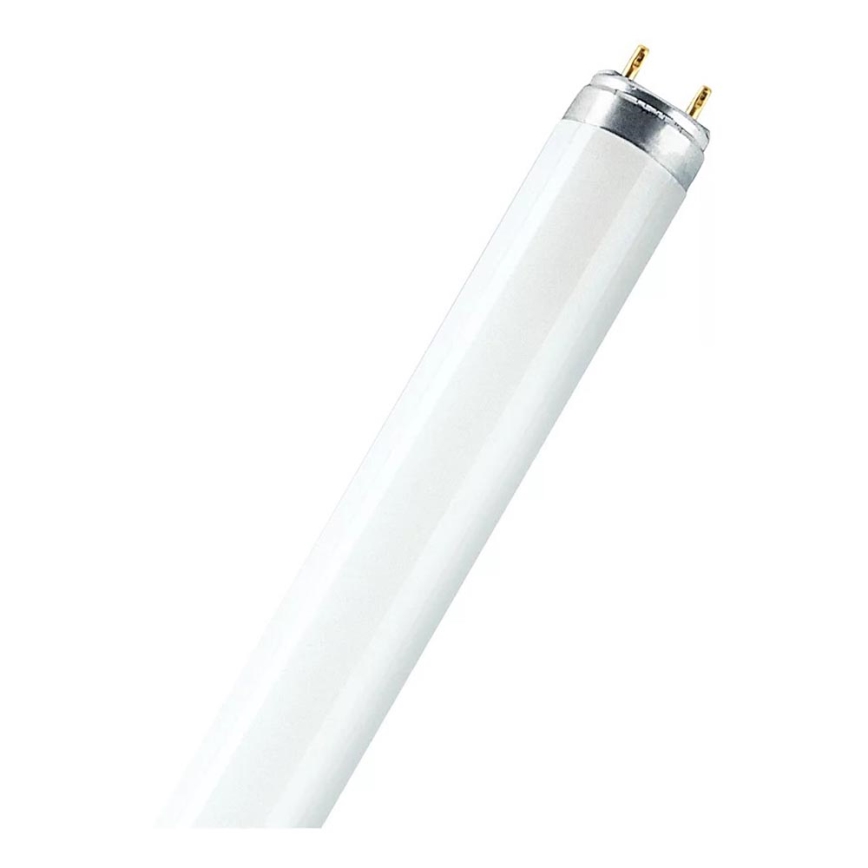 Tube fluorescent T8 G13/15W/55V 4000K 45 cm - Osram