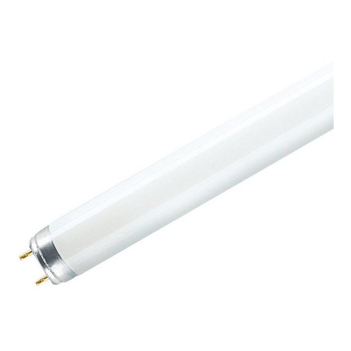 Tube fluorescent T8 G13/36W/230V 6500K 120 cm