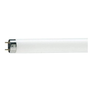 Tube fluorescent T8 G13/58W/110V 4000K 150 cm