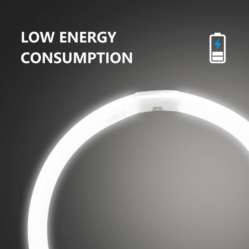 Tube fluorescent T9 G10q/40W/230V 6500K - Aigostar