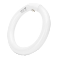 Tube fluorescent T9 G24q-1/22W/230V 6500K - Aigostar