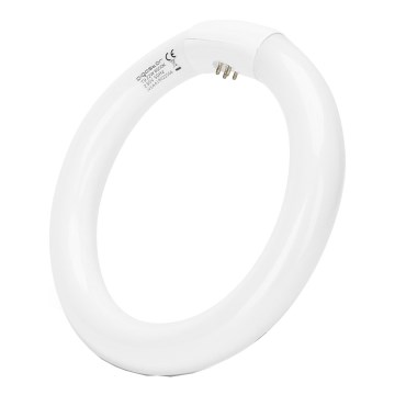 Tube fluorescent T9 G24q-1/22W/230V 6500K - Aigostar