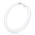Tube fluorescent T9 G24q-1/32W/230V 6500K - Aigostar