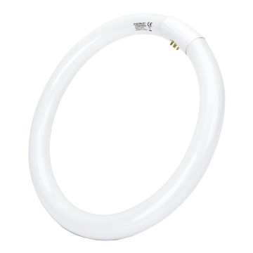Tube fluorescent T9 G24q-1/32W/230V 6500K - Aigostar