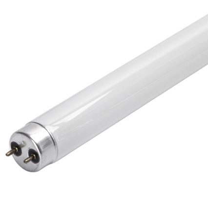 Tube fluorescent UV pour piège à insectes, culot G13, 10 W, 230 V, 35 cm - Brilagi
