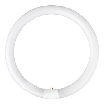Tube fluorescent YH G10q/22W/230V 6500K - Fulgur 00300 d.18,6 cm