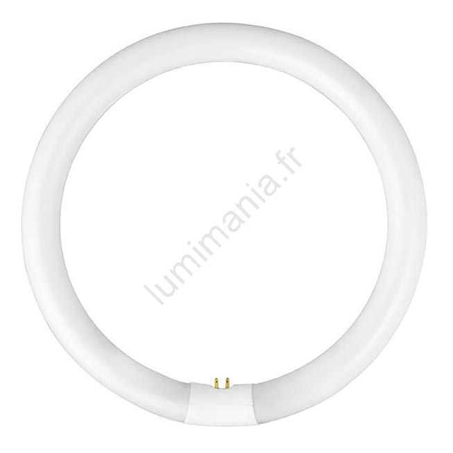 Ampoule Fluorescente Anneau 22W T4 - Lumière Jour 6500K (Blanc Froid) - Culot G10q