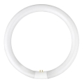 Tube fluorescent YH G10q/28W/230V 6500K - Fulgur 03045 d. 23 cm