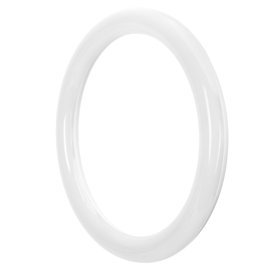 Tube LED fluorescent G10q/17W/230V 6500K - Aigostar