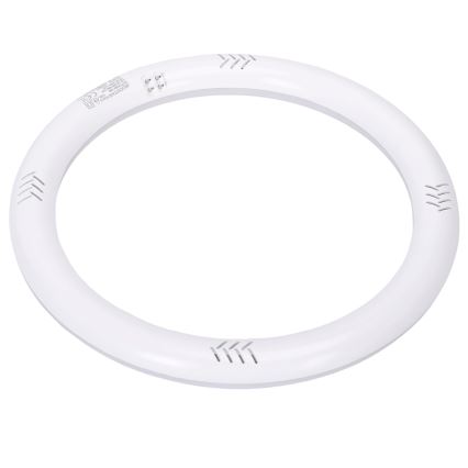 Tube LED fluorescent G10q/17W/230V 6500K - Aigostar