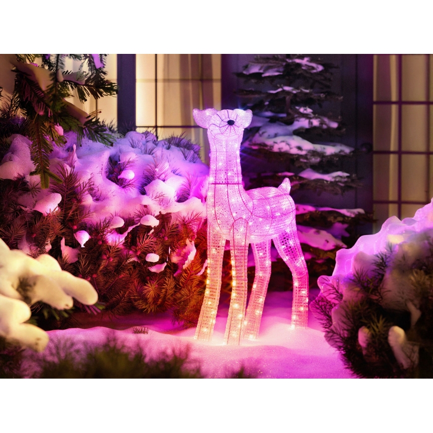 Twinkly - Renne de Noël d'extérieur LED RGBW dimmable REINGEERS 200 LED IP44 Wi-Fi