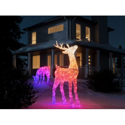 Twinkly - Renne de Noël RGBW d'extérieur à intensité variable REINGEERS 240xLED IP44 Wi-Fi