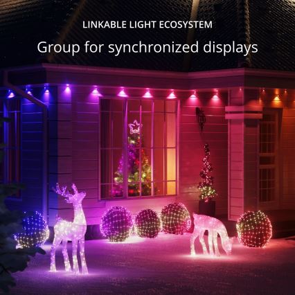 Twinkly - Renne de Noël RGBW d'extérieur à intensité variable REINGEERS 240xLED IP44 Wi-Fi