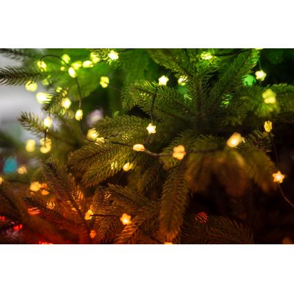Twinkly - Guirlande CANDIES 200 LED RGB dimmable 14 m USB Wi‑Fi
