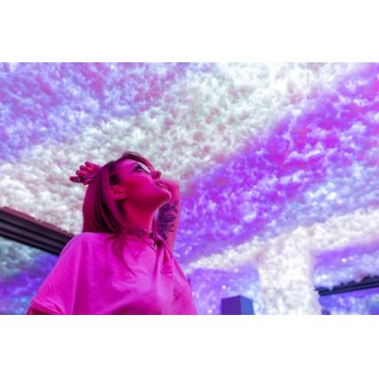 Twinkly - Guirlande lumineuse LED RGBW dimmable d'extérieur STRINGS 250 LED 23,5 m IP44 Wi-Fi