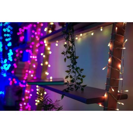 Twinkly - Guirlande lumineuse d'extérieur LED RGBW dimmable STRINGS, 250 LED, 23,5 m, IP44, Wi-Fi