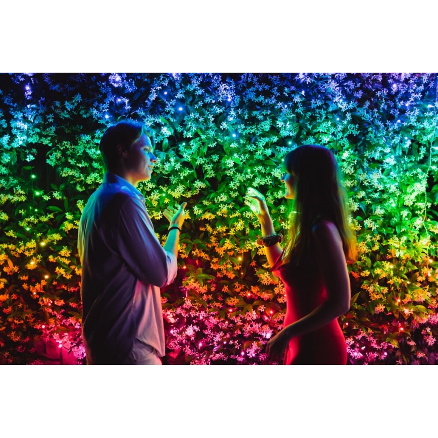 Twinkly - LED RGB À intensité variable extérieur guirlande de Noël STRINGS 400xLED 35,5m IP44 Wi-Fi