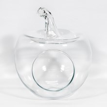 Vase décoratif Apple transparent