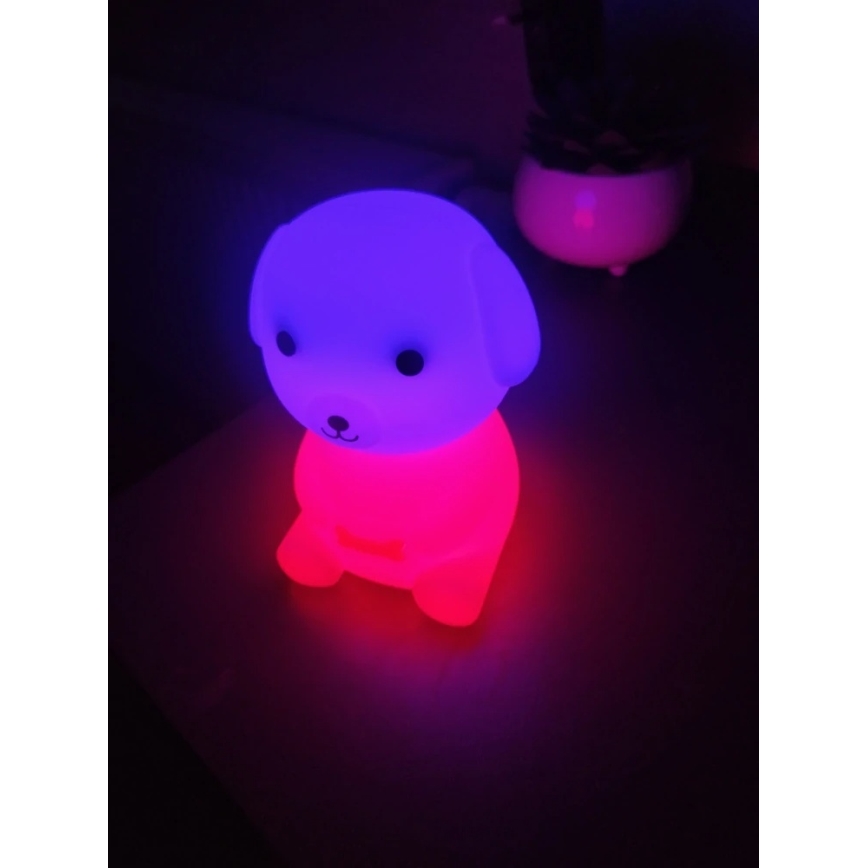 Veilleuse rechargeable pour enfants LED RGBW à intensité variable LED/2,5W/5V 3000K 1200 mAh motif chien