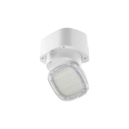 Viking - Applique murale solaire LED avec détecteur LED/1W/3,7V IP44 3000/4000K 4000 mAh