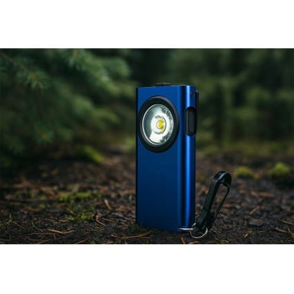 Viking - Lampe torche LED rechargeable à intensité réglable LED/5V IPX3 500 lm 500 mAh