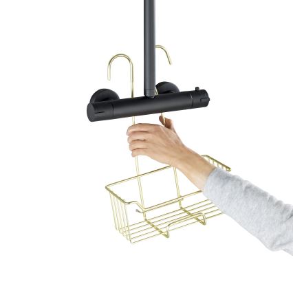 WENKO 25937100 - Panier de douche MILO 25x36 cm inox/or/transparent