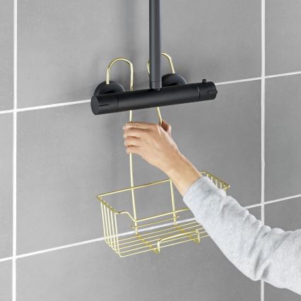 WENKO 25937100 - Panier de douche MILO 25x36 cm inox/or/transparent