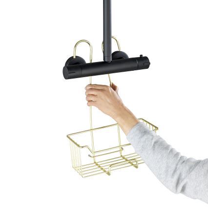 WENKO 25937100 - Panier de douche MILO 25x36 cm inox/or/transparent