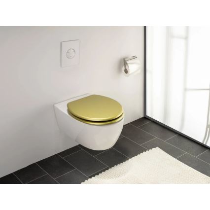 WENKO 26010100 - Abattant WC ALDENO 37 x 41 cm doré/argenté