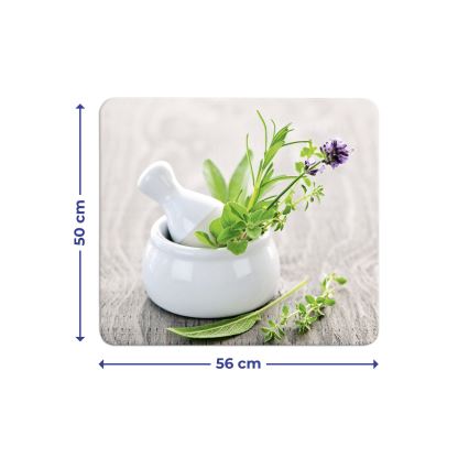 WENKO 2712940500 - Plaque de protection alimentaire 56x50 cm multicolore/transparente