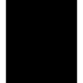 WENKO 53881100 - Paroi de douche BLACK 60x70 cm noire