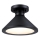 Westinghouse 61238 - Plafonnier extérieur WALTER 1xE27/60W/230V IP44