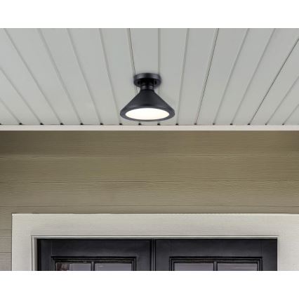 Westinghouse 61238 - Plafonnier extérieur WALTER 1xE27/60W/230V IP44