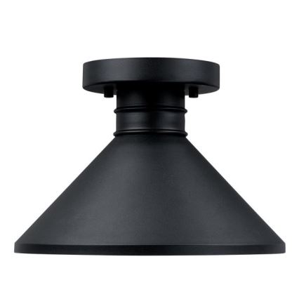 Westinghouse 61238 - Plafonnier extérieur WALTER 1xE27/60W/230V IP44