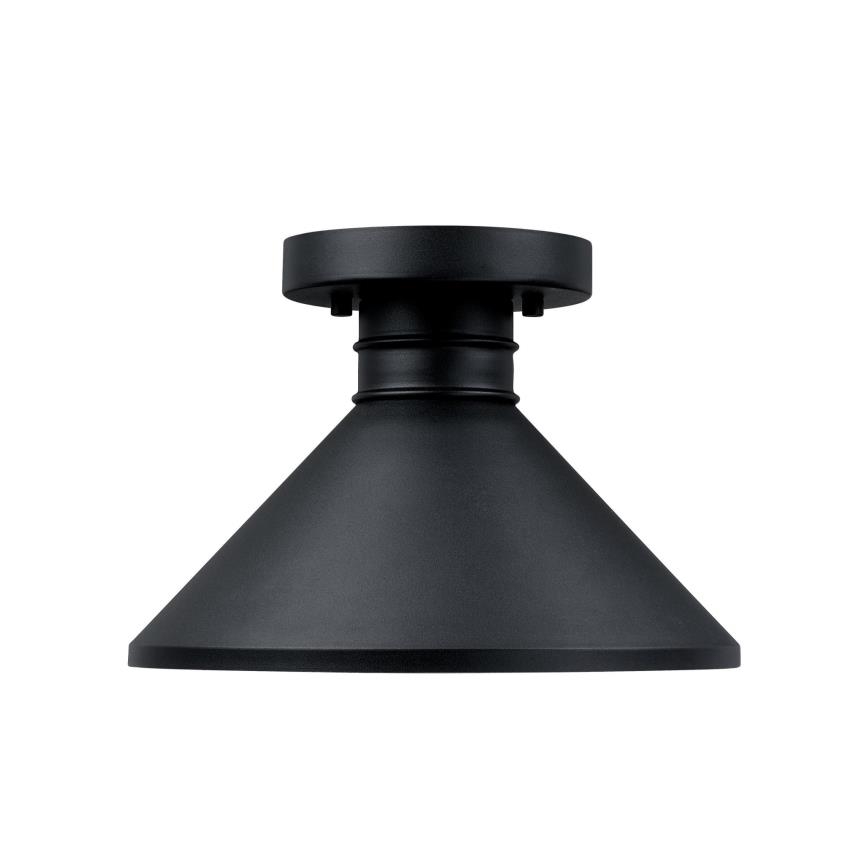 Westinghouse 61238 - Plafonnier extérieur WALTER 1xE27/60W/230V IP44