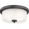 Westinghouse 6325140 - Plafonnier CEDRIC 2xE27/40W/230V Ø 33 cm