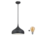 Westinghouse 6329440 - Lustre LED sur tige RUDI 1xE27/60W/230V Ø 30 cm