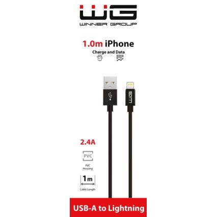 Winner Group - Câble USB Lightning / USB-A 1m noir