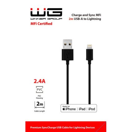 Winner Group - Câble USB MFI Lightning / USB-A 2m noir