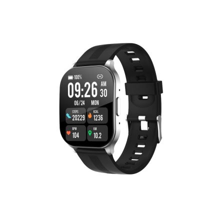 Winner Group - Montre connectée AirFlexOne 300 mAh IP68 argentée