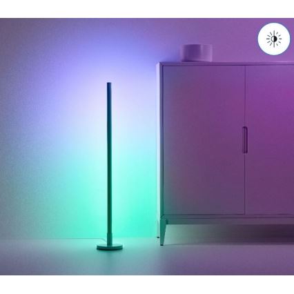WiZ - Lampadaire LED RVBW à intensité variable POLE LED/13W/230V 2200-6500K Wi-Fi