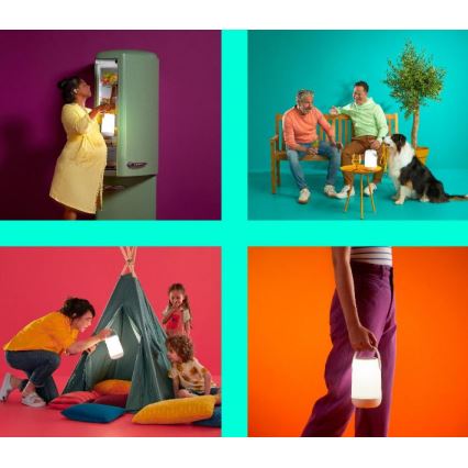 WiZ - Lampe portable RVBW à intensité variable MOBILE LED/13,5W/5V 2200-6500K Wi-Fi