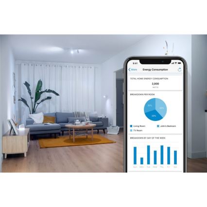 WiZ - Prise connectée F 2300W + powermeter Wi-Fi SCHUKO