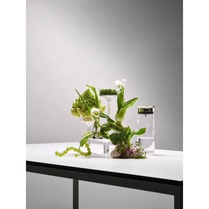 WMF - Carafe à eau MOTION 800 ml