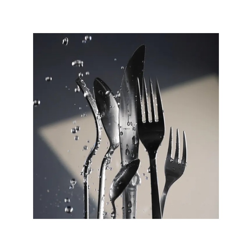 WMF - Service de couverts en acier inoxydable FÄCHER 66 pièces